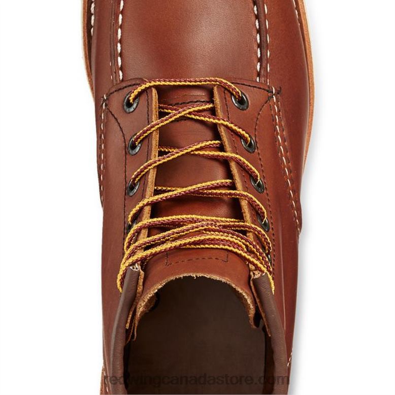 Style 96548 Leather Belt Men's Belt in Dakota Leather Z0PL19 Brown Red Wing